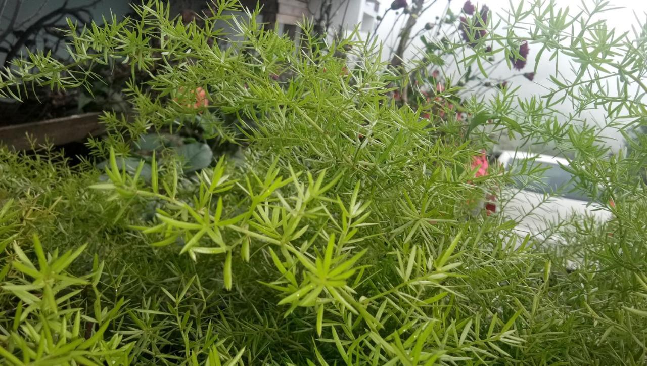 Hotel Ezhil Residency Tamilnadu - Tamilnadu - Kodaikanal Exterior foto